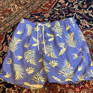 Arizona  purple and green swim shorts